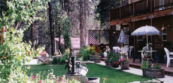 image of backyard